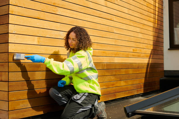 Affordable Siding Repair and Maintenance Services in Radisson, NY